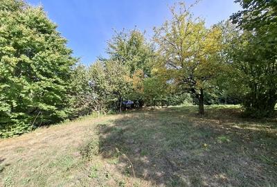 Comision 0. Teren cu autorizatie de construire in Salicea - 3