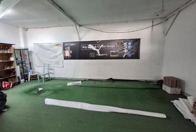 Spațiu industrial, în Giurgiului - 7