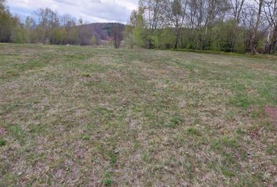 Spațiu comercial, în Damiș - 7