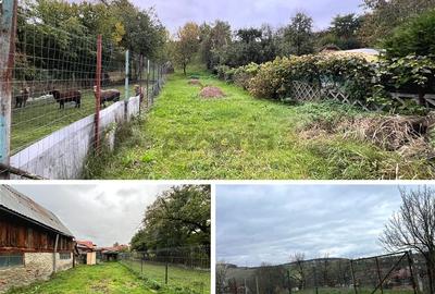 Casa 5 camere, garaj, anexe, 1300 mp teren Simeria Veche - 13