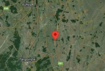 Teren de 240000 mp, în Mânăstioara - 1