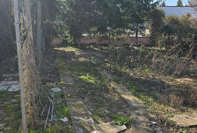 Casă cu 2 camere cu Teren 382 Mp în Botizului - 3