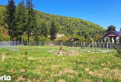 Teren de 800 mp, în Bunloc - 2