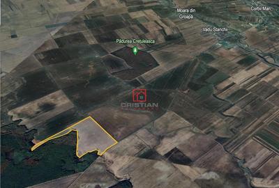Teren agricol Corbii Mari, Dambovita - 5