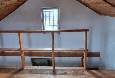 Vand casa de vacanta cu teren de 770 mp (7,7 ari )in Bercu rosu - 10