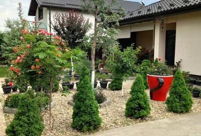 Casă cu 3 camere cu Teren 400 Mp în Buftea - 8