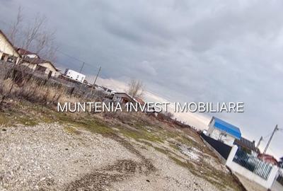 Teren de 7000 mp, în Bradu - 4