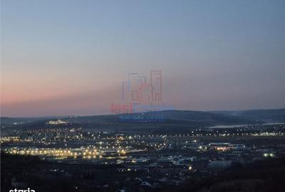 Spațiu comercial, în Vlădiceni - 4