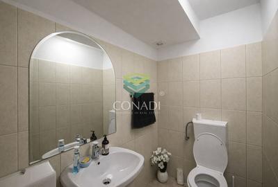 Apartament in vila zona Aviatorilor - 29