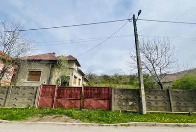 Casa de Vanzare, 4139 mp, Hapria, Ciugud Ideala ca Locuin?a sau Proiect Rural - 6