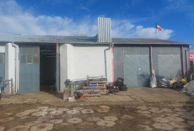 Spațiu comercial, de 80 mp, în Bascov - 6