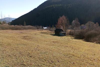 Teren Construcții intravilan de 17707 mp, în Grințieș - 1