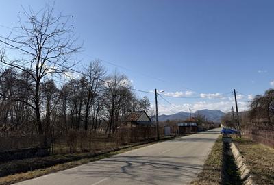 Spațiu comercial, în Peștișani - 15