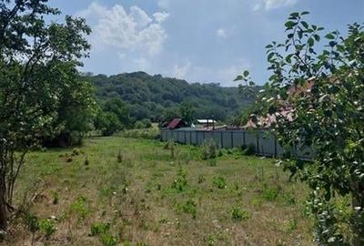 Teren Construcții intravilan de 3834 mp, în Ștefan cel Mare