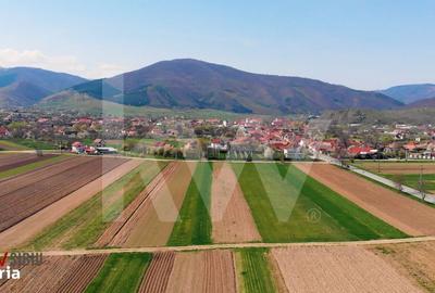 Spațiu comercial, în Orlat - 12