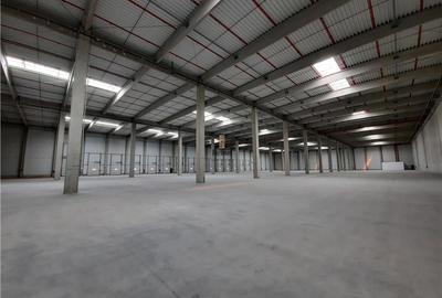Spatiu Industrial - 3000 mp - Logistica - Productie - Depozitare - Distributie - 1