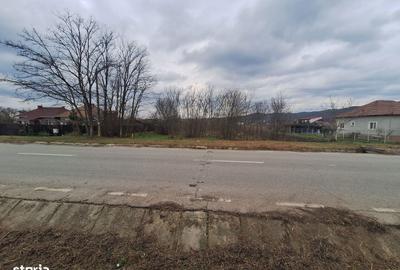 Teren de 3030 mp, în Copăcelu
