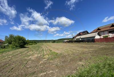 Teren intravilan 7.295 mp – Argeselu, Maracineni, AG - 6