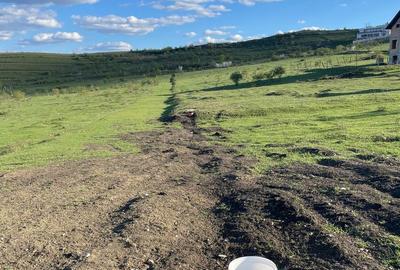 Teren de 600 mp, în Vulcan - 4