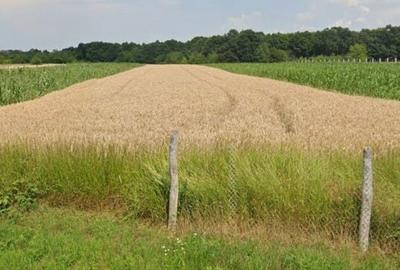 Spațiu comercial, în Merfulești - 2