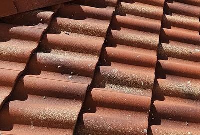 Case individuale noi, P+E, în Moșnița Nouă, locații excelente, comision 0% Case individuale noi, P+E, în Moșnița Nouă, locații excelente, comision 0% - 29