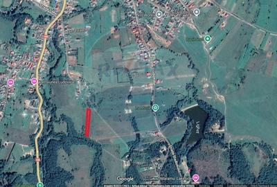 De vanzare teren intravilan 2.444 mp - Targu Lapus