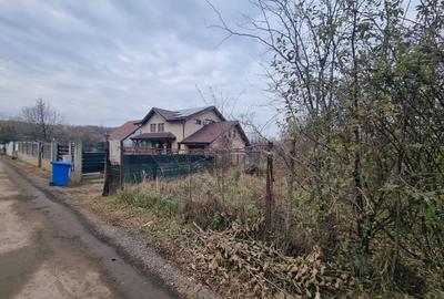 Vand 2500 mp in Branesti, strada Brazi in spatele lizierei, tpate utilitatile, - 4