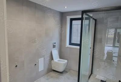 Vila de vanzare la Toplita - 3