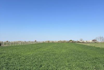 Spațiu comercial, în Gepiu - 2