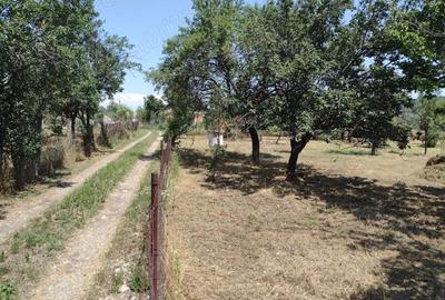 Teren de 1500 mp, în Cernătești - 5