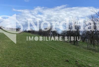 Teren agricol extravilan de 1494 mp, în Rășinari - 2