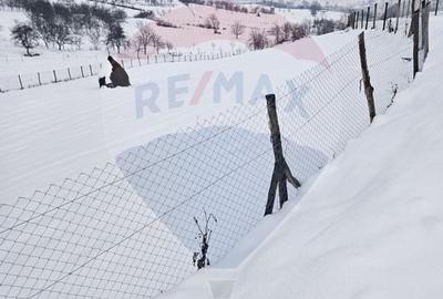 Teren agricol extravilan de 4301 mp, în Bârsana - 3