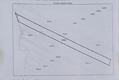 Teren de 27500 mp, în Belciugatele - 7