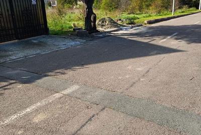 Spațiu comercial, în Schitu - 4