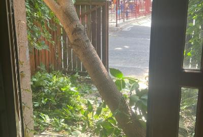 Casă individuală cu 2 camere cu Teren 217 Mp în Dristor - 6