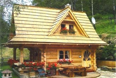 Proprietar vand casa de vacanta in Muntii Poiana Ruscai - 9