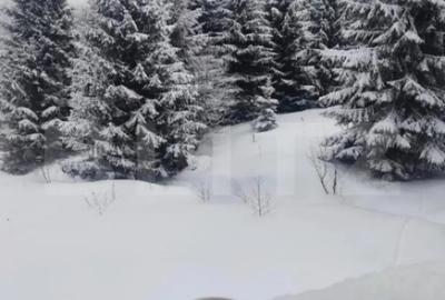 Garsonieră semidecomandată, mobilată în Central - 1