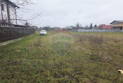 Teren 519mp Dumbrava Rosie / Strada CRANGULUI - 19