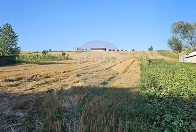 Teren intravilan, 7500 mp in Moara Carp / Strada Eternita... - 10