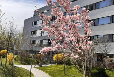 Apartament 2 camere nou, 64 mp utili, Zona Straule?ti, Mall Colosseum, Sector 1 Apartament 2 camere nou, 64 mp utili, Zona Straule?ti, Mall Colosseum, Sector 1 - 15