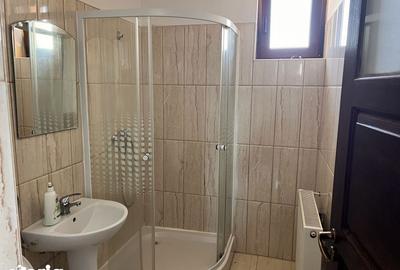 Apartament cu 2 camere, mobilat în Vasile Aaron - 9