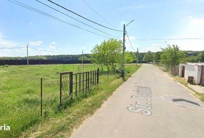 Teren de 800 mp, în Cernica - 3