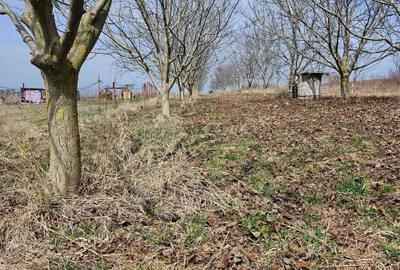 Spațiu comercial, în Mărtinești - 1