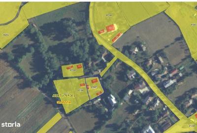 Casă cu 3 camere în Central - 7