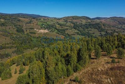 Comision 0% teren intravilan 1000 mp, PUZ, priveliste, Baisoara - 10