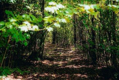 Teren în Trafic Greu - 5