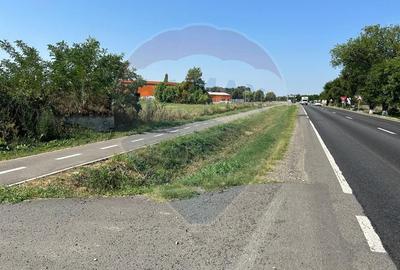 Teren Construcții intravilan de 20561 mp, în Vest - 11