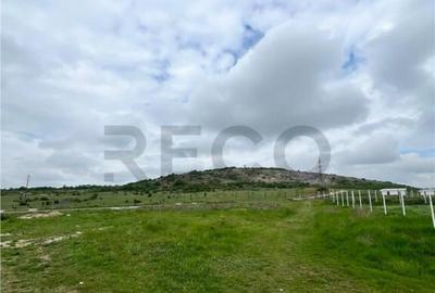 Teren de 500 mp, în Betfia - 3