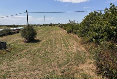 Spațiu comercial, în Mihăilești