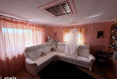 Casă cu 5 camere cu Teren 5000 Mp în Mihai Eminescu - 5